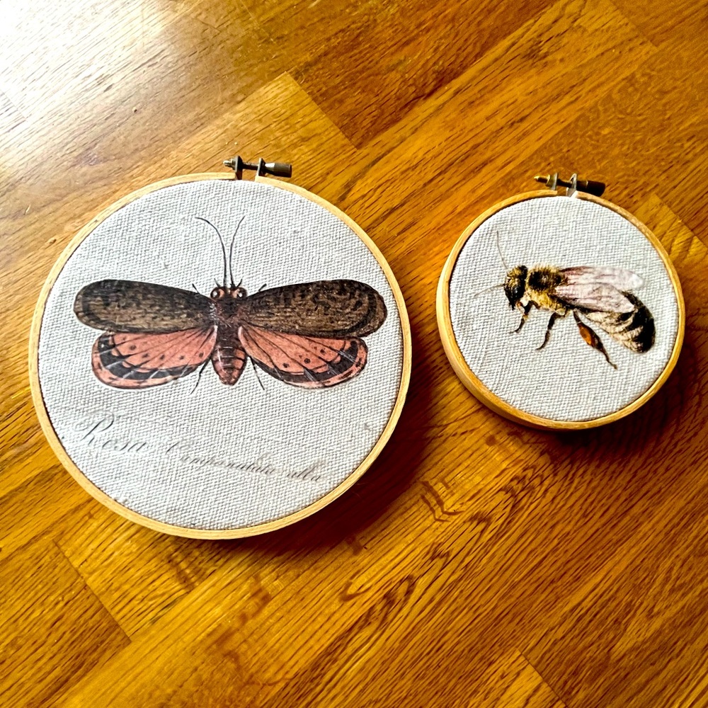 Set of 2 decorative embroidery hoops.